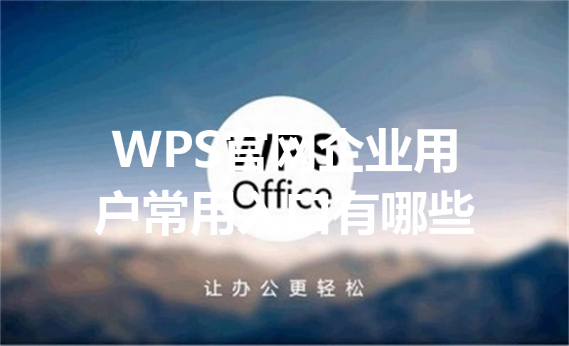 WPS官网企业用户常用入口有哪些 三